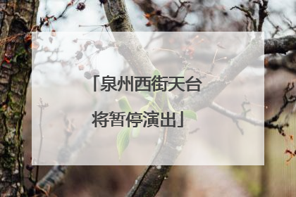泉州西街天台将暂停演出